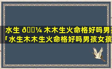 水生 🐼 木木生火命格好吗男孩「水生木木生火命格好吗男孩女孩」